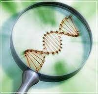 La cuarta era de la biotecnología es la actual