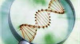 Timeline: HISTORIA DE LA BIOTECNOLOGÍA.