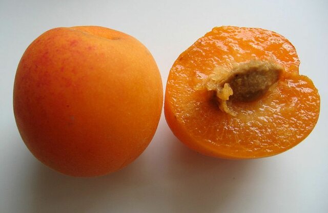Desarrollo de varios frutos híbridos