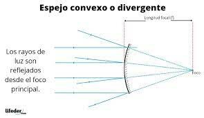 Perpectiva Curvilinea