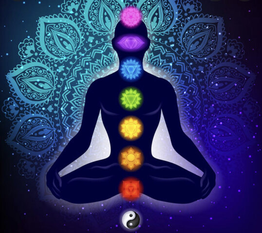 MEDICINA  AYURVÉDICA