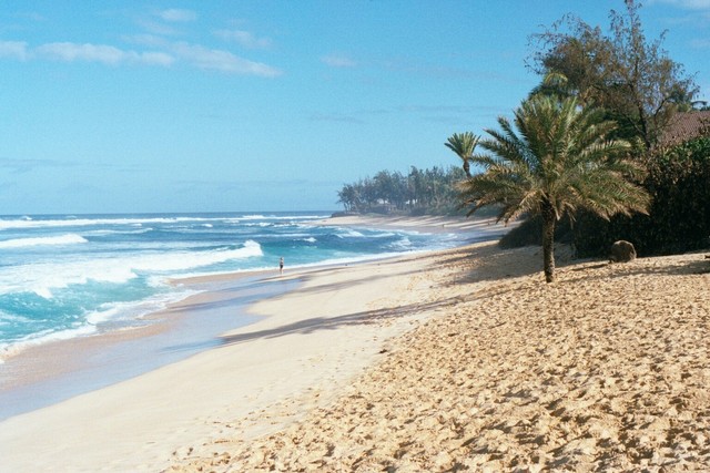 About the day I was born