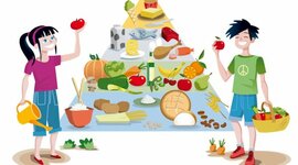 Timeline: Pirámide Alimenticia