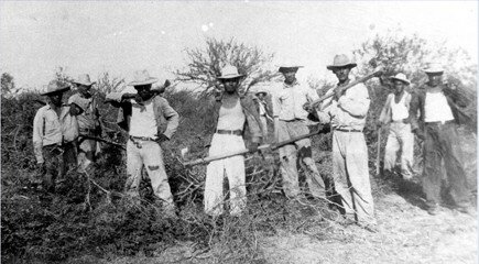 Decreto sobre repartimiento de tierras