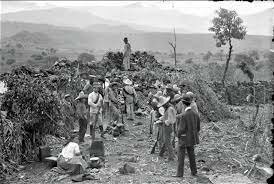 Dotación y Restitución