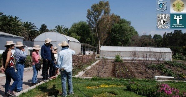 Psicología ambiental en México
