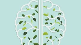 Timeline: ANTECEDENTES DE PSICOLOGÍA AMBIENTAL