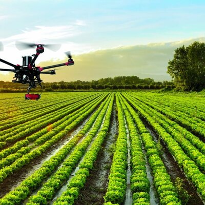 Timeline: Evolució de l'obtenció d'aliments