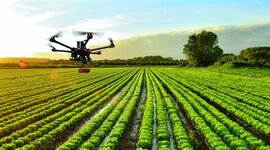 Timeline: Evolució de l'obtenció d'aliments