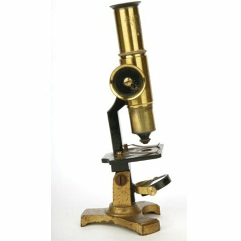 Microscopio simple