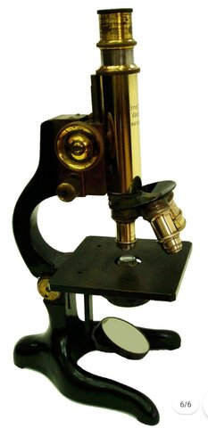 estereoscopio
