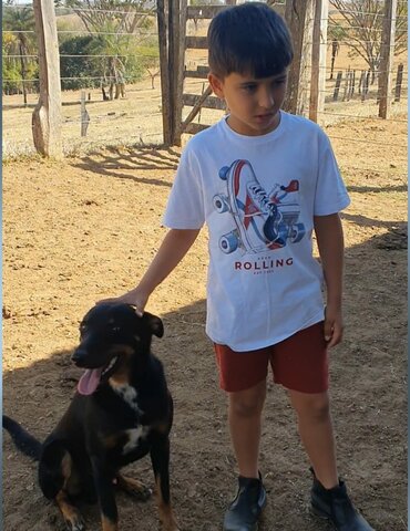 brincando com o Ribit