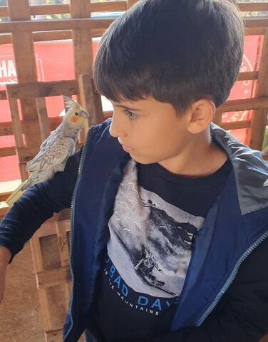 brincando com um passarinho