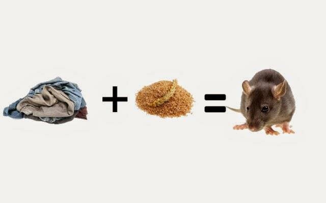 Generación espontánea