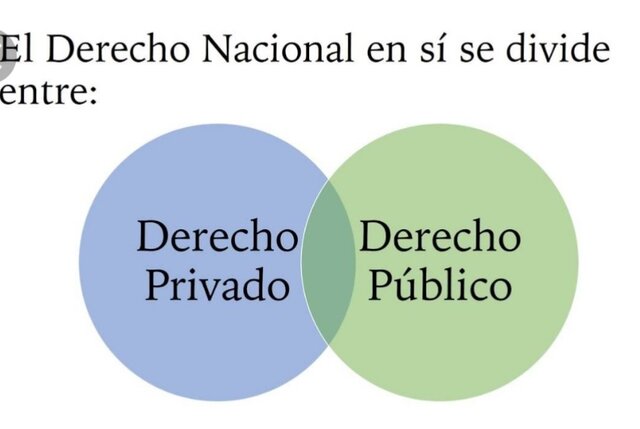 Léon Duguit y Hans Kelsen