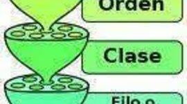 Timeline: Historia de la taxonomía