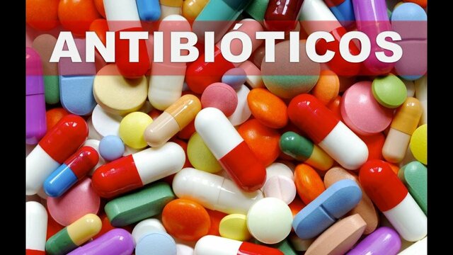 LOS ANTIVIOTICOS