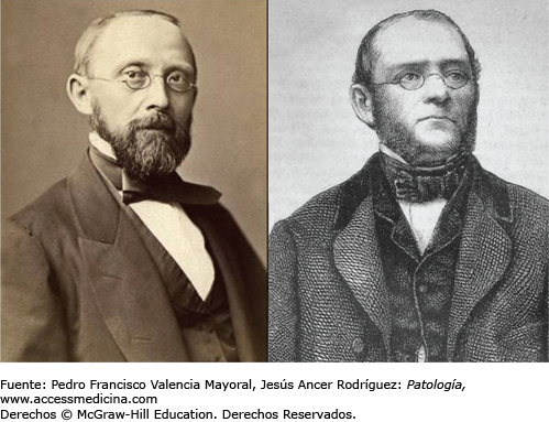 Rokitansky y Virchow fueron los iniciadores de la “nueva anatomía patológica”