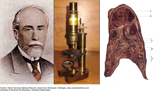 Mexicano Manuel Toussaint Vargas,