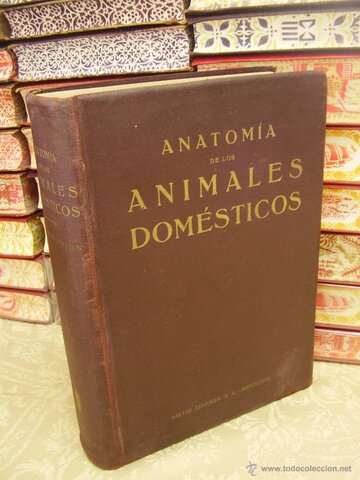 Libro de anatomía de los animales domésticos
