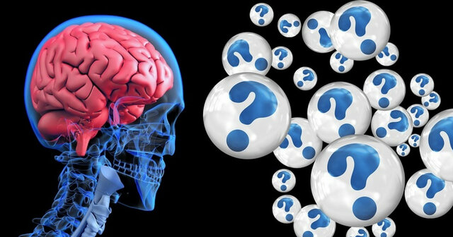 Teoria de los esquemas (Rumelhart y Norman)