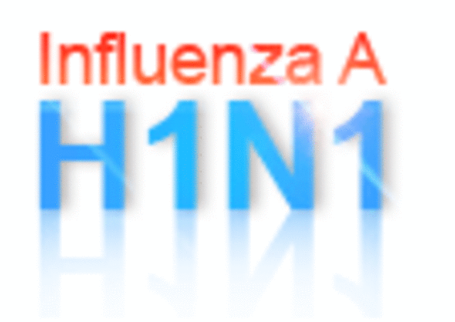 H1N1 (swine flu)