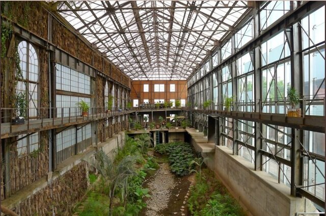 Jardín privado de la Biblioteca Vasconcelos