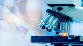 Timeline: El microscopio optico