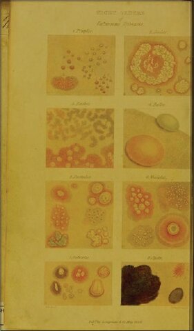 Where It All Started