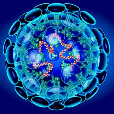 Timeline: Línea del tiempo sucesos más importantes de la Biología Molecular