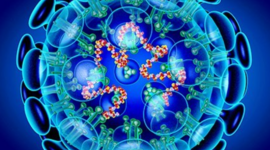 Timeline: Biología Molecular por Jonathan Ulises Partida Hernández