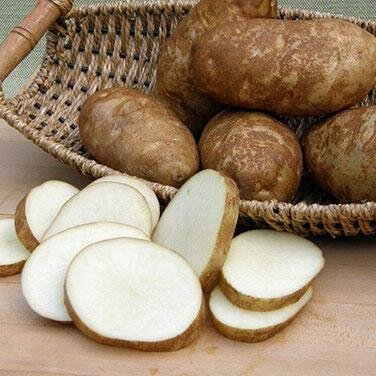 Burbank Potato