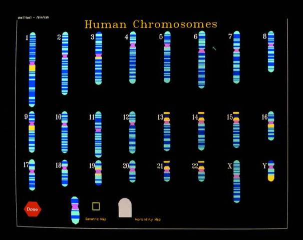 the Human Genome project was completed 99%.