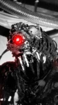 Llegada de los garmoga