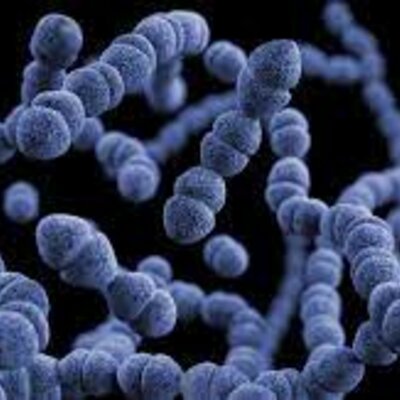 Timeline: Síntesis abiótica