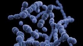 Timeline: Síntesis abiótica