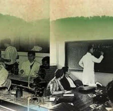 Creación del CEPANDAL