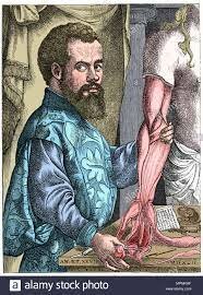 VESALIUS