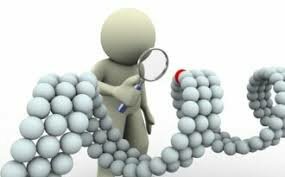 Creación del Marco Normativo e institucional