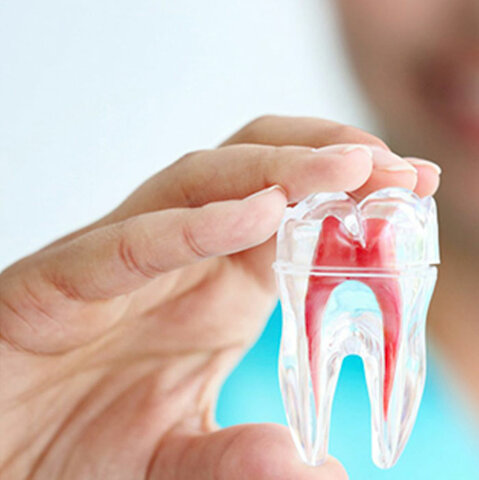 ENDODONCIA COMO AYUDA