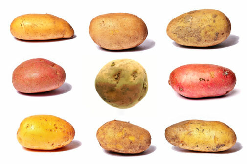 1867 - Patatas españolas