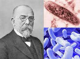 Descubrimiento de los bacilos de Tuberculosis y Cólera