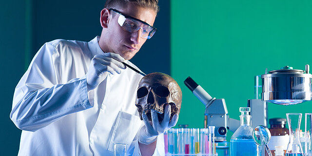 Aplicaciones del M de luz ultravioleta