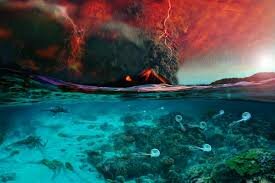 Paleozoica (Pérmico) 290 a 248 millones de años atrás