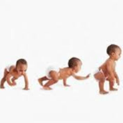 Timeline: Evolución a la asistencia del niño