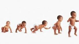 Timeline: Evolución a la asistencia del niño