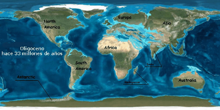 Terciario (Oligoceno) 33.7 a 23.8 millones de años atrás