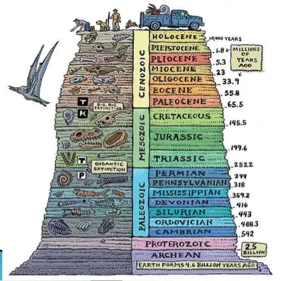 Timeline: Tiempo Geológico