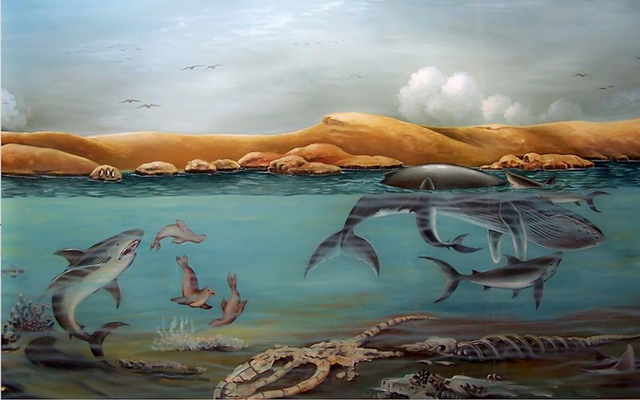 Terciario (Mioceno Complemento)