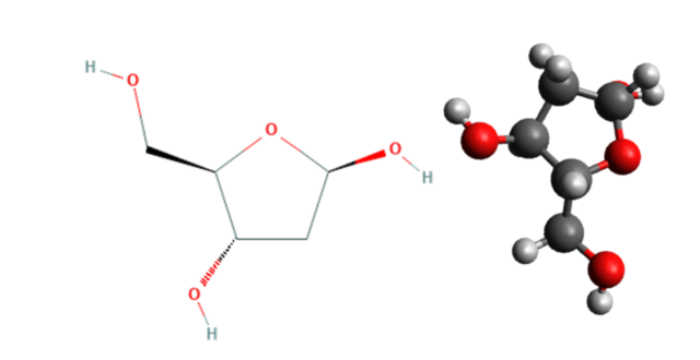 CARBOHIDRATO